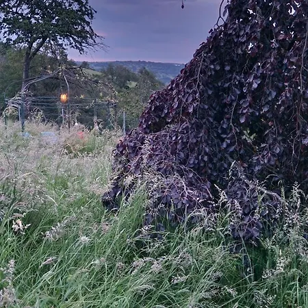 Pfalzblick Apartment Bacharach