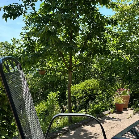 Pfalzblick Apartment *