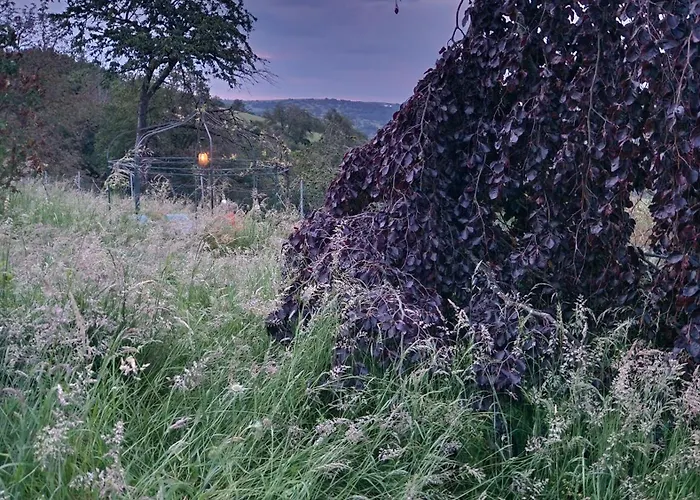 Pfalzblick Apartment Bacharach