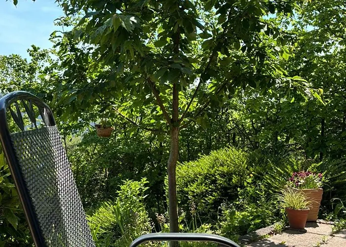 Pfalzblick Apartment *